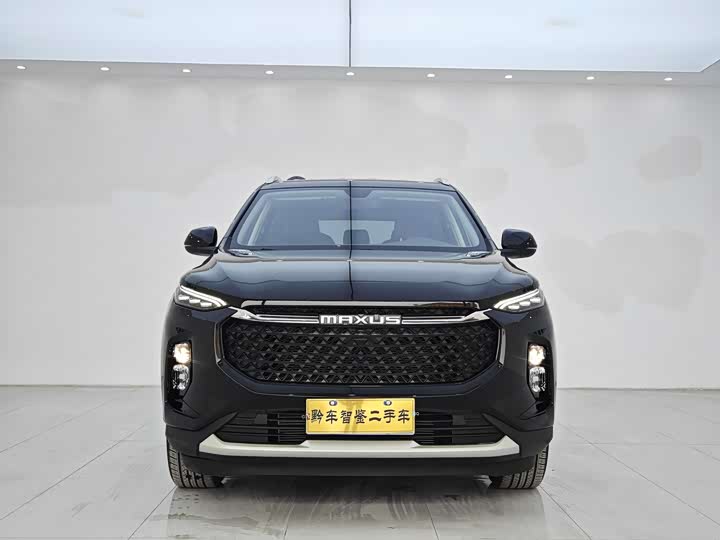 Фото 2 - Maxus D60