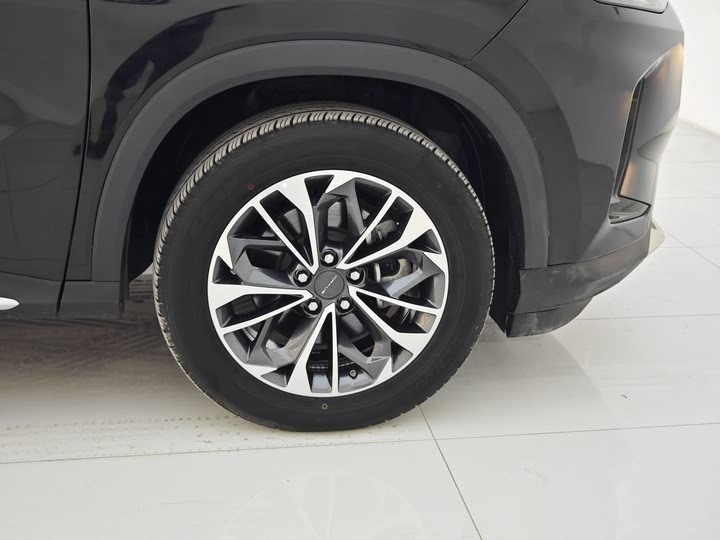 Фото 20 - Maxus D60