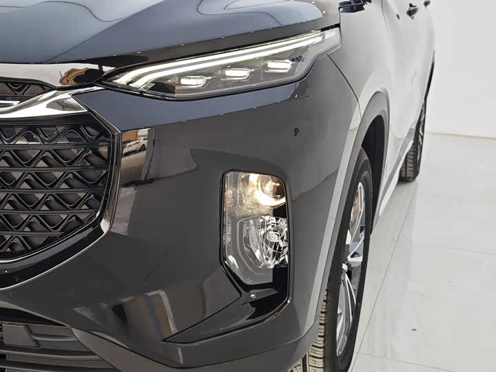 Фото 24 - Maxus D60