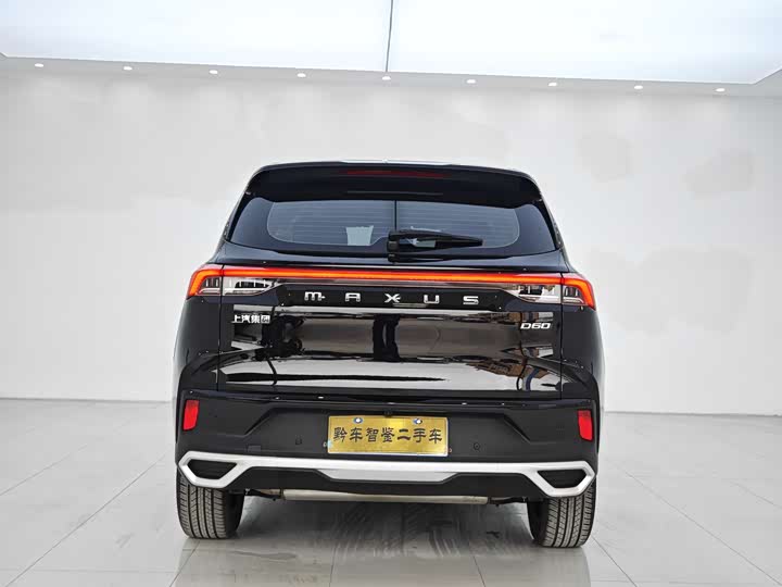 Фото 5 - Maxus D60