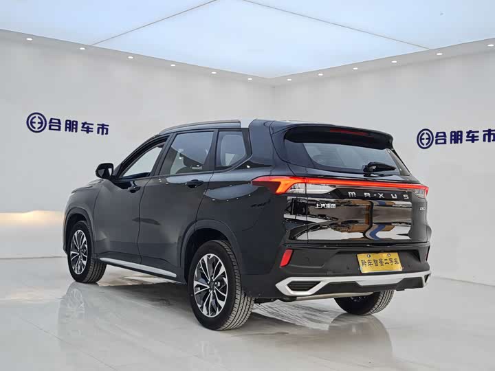 Фото 6 - Maxus D60