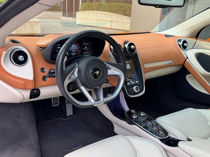 Фото 9 - McLaren GT