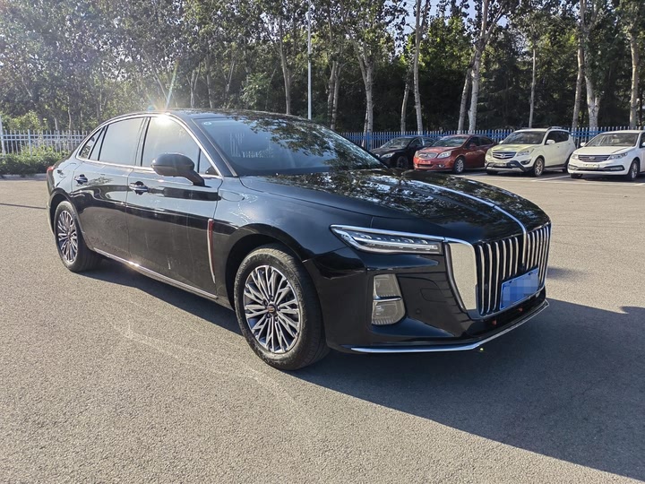 Фото 3 - Hongqi H5