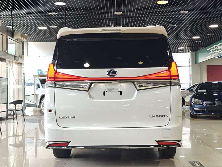 Фото 20 - Lexus LM