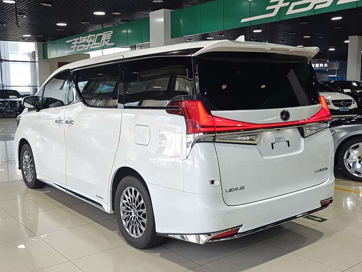 Фото 21 - Lexus LM