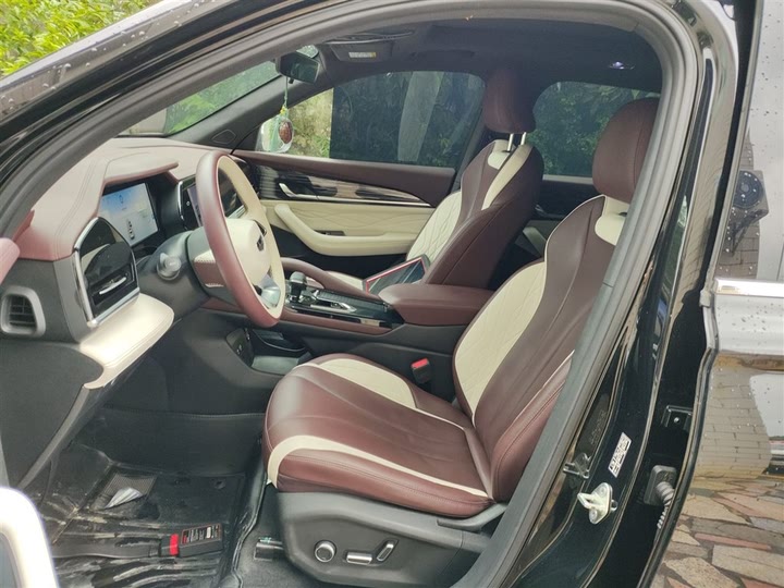 Фото 15 - Geely Monjaro