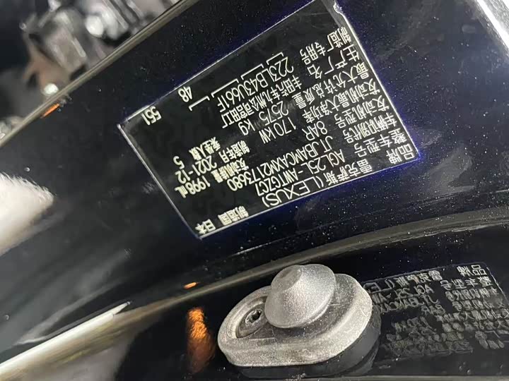 Фото 11 - Lexus RX