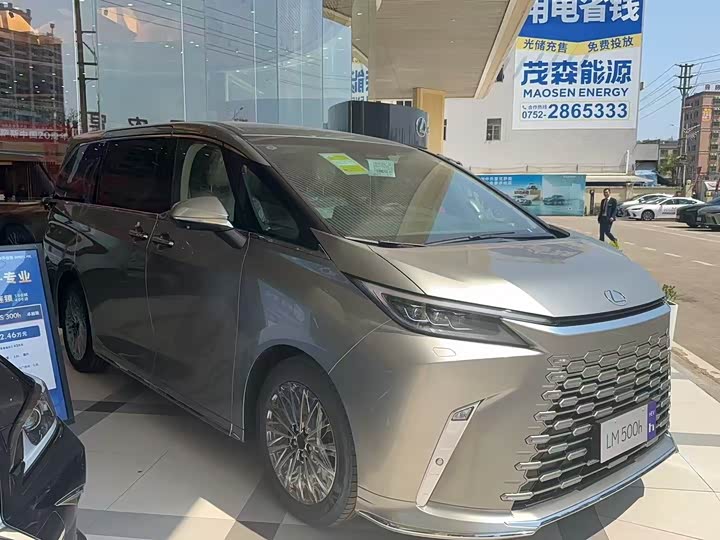 Фото 11 - Lexus LM