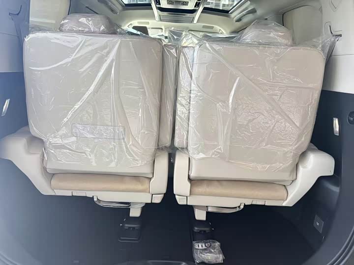 Фото 14 - Lexus LM