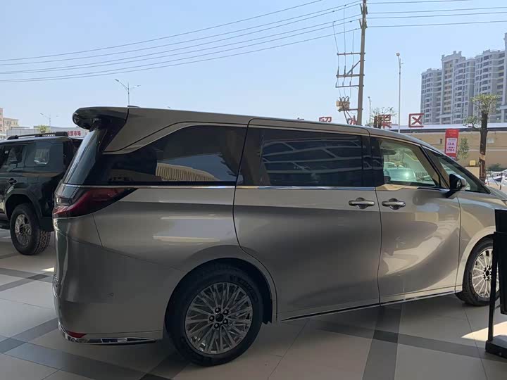 Фото 8 - Lexus LM