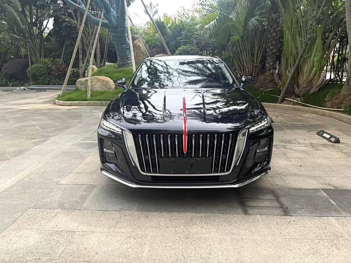 Фото 2 - Hongqi H5