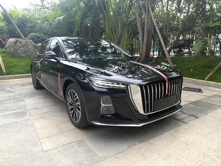 Фото 3 - Hongqi H5