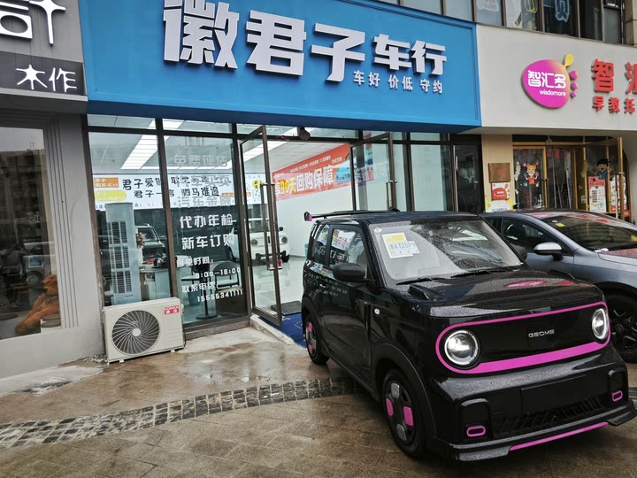 Фото 12 - Geely Galaxy Panda Mini