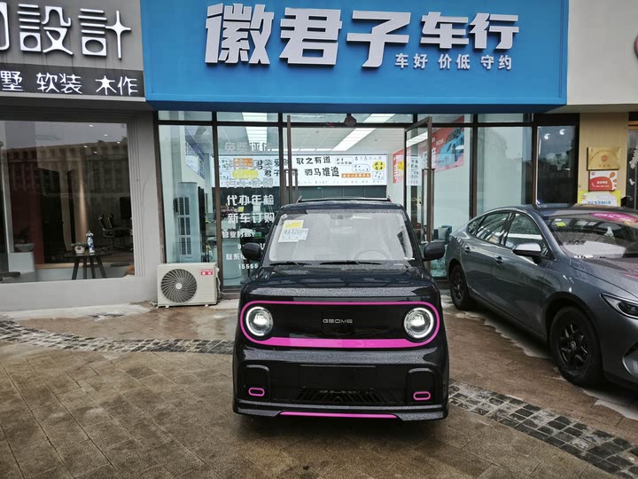 Фото 2 - Geely Galaxy Panda Mini