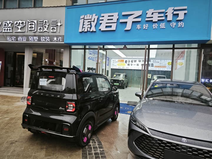 Фото 25 - Geely Galaxy Panda Mini