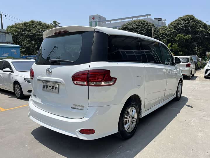 Фото 9 - Maxus G10