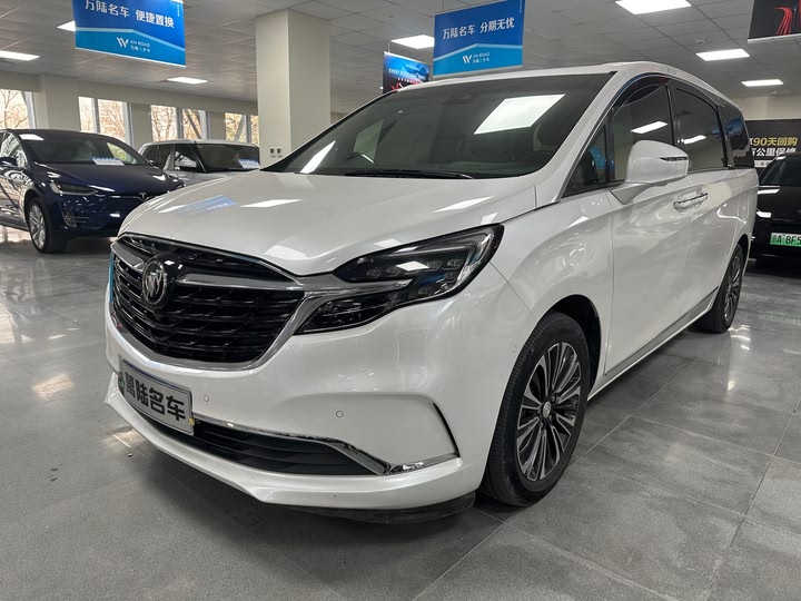 Фото 1 - Buick GL8 ES