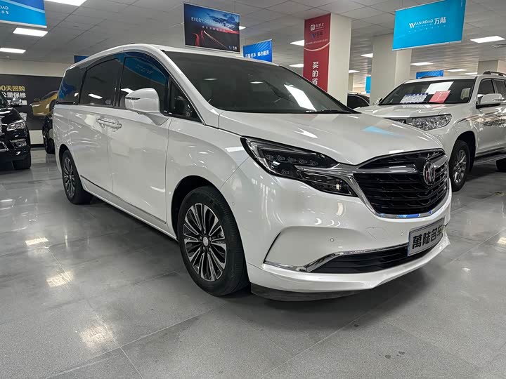 Фото 2 - Buick GL8 ES