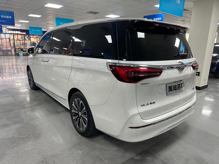 Фото 5 - Buick GL8 ES